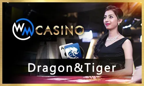 Guide to 77plus Casino Games